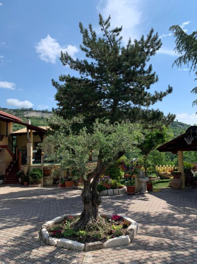 Appartamento Le Ceppete Palombaro Esterno foto